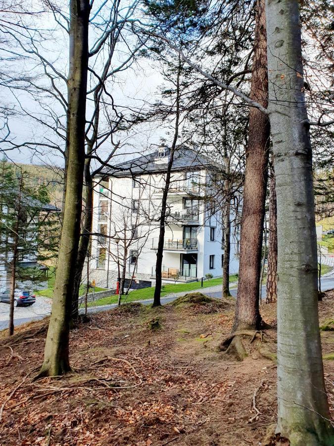 Apartament Wlochatka Z Sauna Finska Świeradów-Zdrój 外观 照片